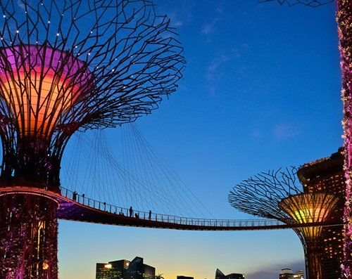 Supertrees, Cloud Forest: - Khu vườn nhân tạo đẹp nhất Singapore
