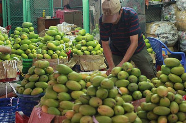 Giá xuống thấp, rau củ Việt đẩy lùi hàng Trung Quốc