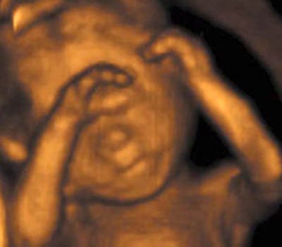 Mang thai tuần thứ 19 và sự phát triển của thai kỳ