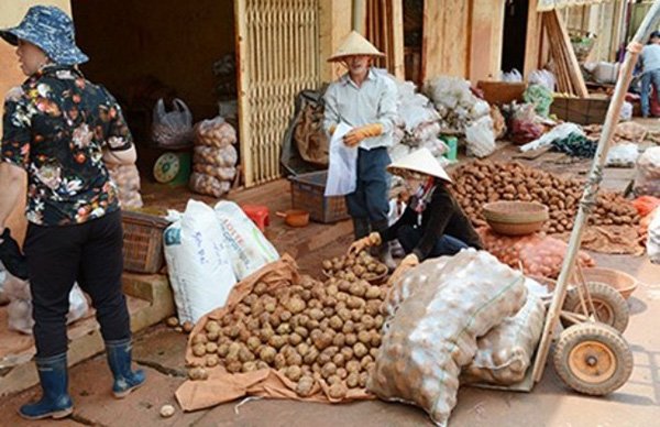 Cấm cửa nông sản Trung Quốc núp bóng hàng Việt