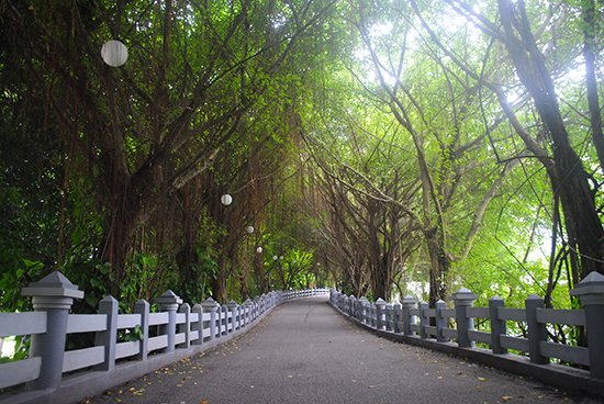 10 lý do du khách lựa chọn Sông Hồng Resort là địa điểm để nghỉ dưỡng & hội họp
