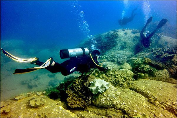 Rặng san hô tuyệt đẹp dưới đáy biển Bình Thuận