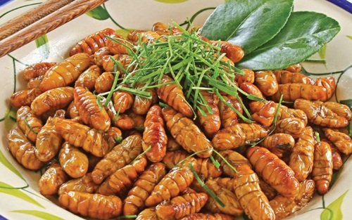 Những món ăn chỉ có ở Việt Nam nhìn thì ‘ghê” nhưng ăn là “mê”