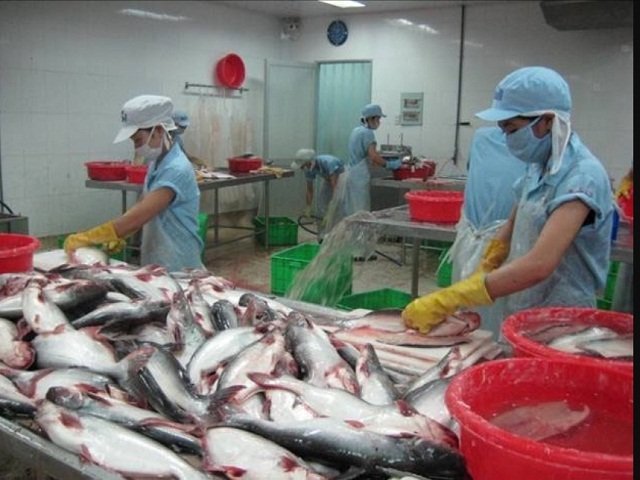“Vua cá tra” Hùng Vương “nhắm” đến mua bán DN nông nghiệp