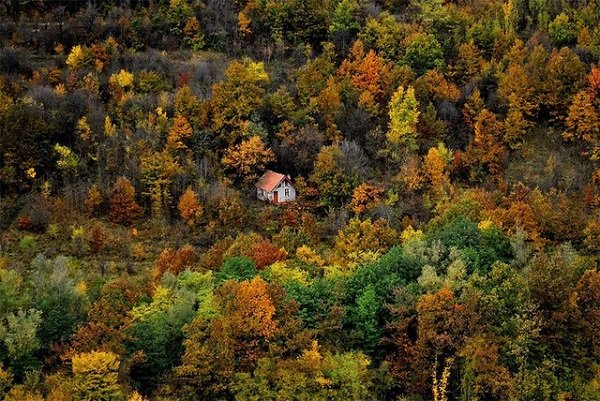 Ảnh: Những ngôi nhà đẹp như tranh vẽ trơ trọi giữa rừng sâu