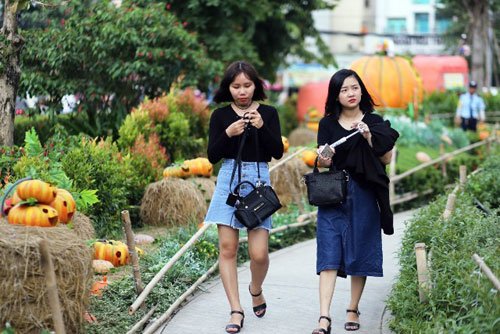 Ngắm “làng bí thần tiên” ở Sài Gòn