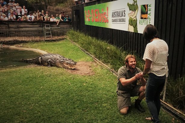 Úc: Vừa cho cá sấu khổng lồ ăn, vừa cầu hôn bạn gái
