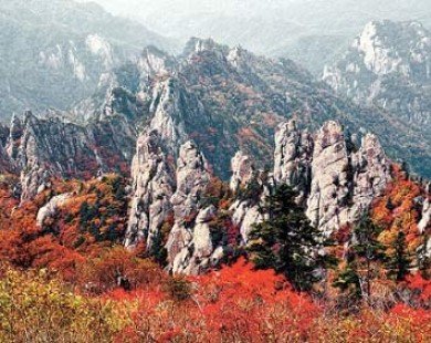 Đắm mình vào thiên sắc mùa thu xứ Hàn