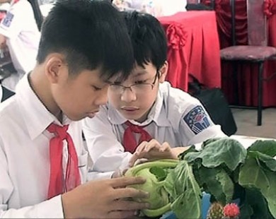 ’Cuộc phiêu lưu đẹp’ trong trường học Việt