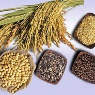 B1, đúng là số một