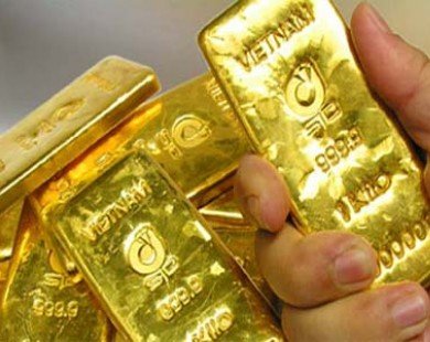 Giá vàng giảm gần nửa triệu đồng