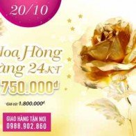 Những món quà dễ mua mừng  ngày Phụ Nữ Việt Nam 20_10