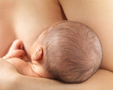 Những thông tin cơ bản về độc tố trong sữa mẹ