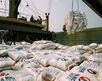 Nhiều nguy cơ khi xuất khẩu gạo tiểu ngạch tăng mạnh