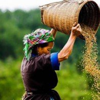 Nhiếp ảnh gia Pháp Rehahn: “Tự hào phụ nữ Việt”