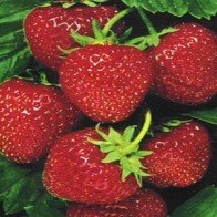 7 loại thực phẩm giúp làm đẹp tóc