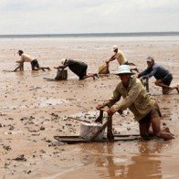 Mặn - ngọt Cù Lao Dung