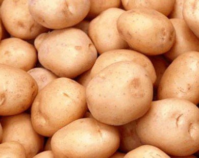 New Zealand xúc tiến xuất khẩu khoai tây sang Việt Nam