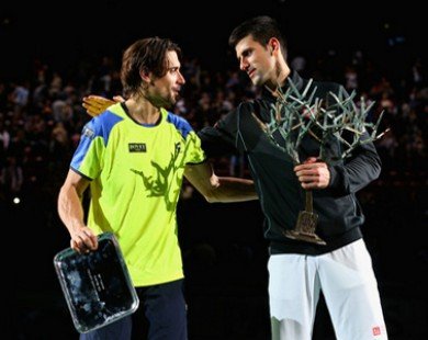 Paris Masters 2013: Đánh bại Ferrer, N.Djokovic giành vô địch