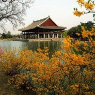 Lãng mạn mùa thu Hàn Quốc