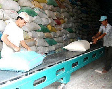 ’Ngành gạo còn khó khăn ít nhất đến hết năm 2014’