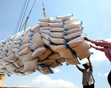 Kế hoạch xuất khẩu gạo khó khả thi