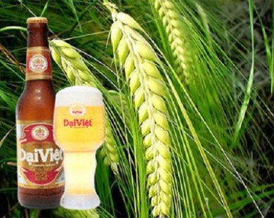 Bia Đại Việt - văn hóa bia của người Việt