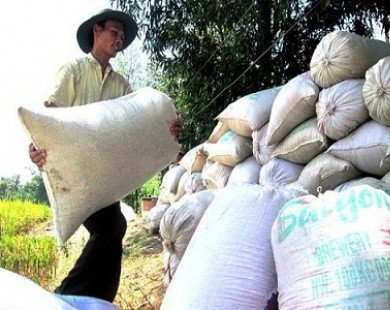 Xuất khẩu gạo sang Trung Quốc ước đạt 2,7 triệu tấn