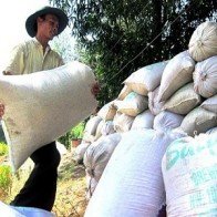 Xuất khẩu gạo sang Trung Quốc ước đạt 2,7 triệu tấn