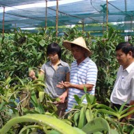 "Đại gia" lan ngọc điểm, tu hàng tỷ đồng/năm