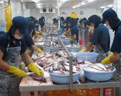 Sẽ có Trung tâm phân phối cá tra tại thị trường EU