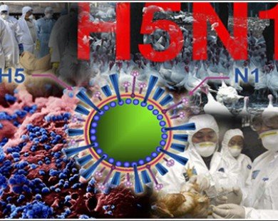 Thêm hai trường hợp nhiễm virus H5N1 tại Campuchia