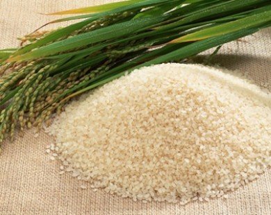 Những điều chưa biết về nước vo gạo