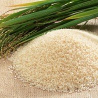 Những điều chưa biết về nước vo gạo