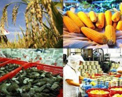 Kim ngạch xuất khẩu nông, lâm, thuỷ sản 10 tháng đạt 22,73 tỷ USD
