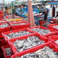 Bộ Nông nghiệp đề ra 7 giải pháp phát triển ngành thủy sản