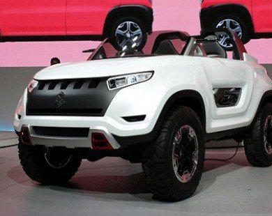 Tokyo Motor Show 2013 : Tương lai tươi sáng cho Suzuki ?