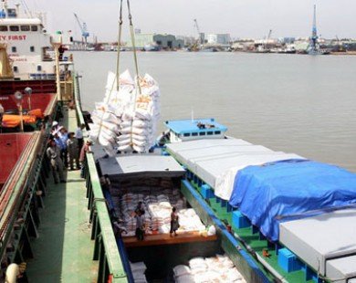 Việt Nam trúng thầu xuất 500.000 tấn gạo sang Philippines