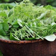 Ẩm thực miền núi rừng Tam Đảo - Lạ và ngon