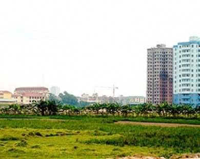 Giá đất Hà Nội tối đa là 81 triệu đồng/m2