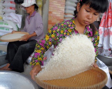 Năm 2014, Philippines sẽ sản xuất 19,32 triệu tấn gạo