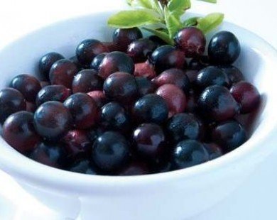 Ăn nhiều quả berry giúp làm chậm suy thoái não