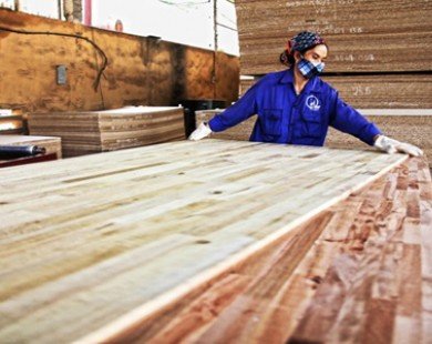 Tài trợ vay vốn 680 tỷ đồng xây dựng nhà máy ván gỗ