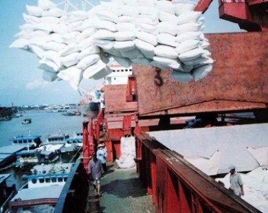Giá gạo xuất khẩu của Việt Nam giảm