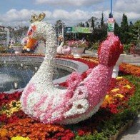 Đà Lạt quyết liệt xử lý nạn chặt chém tại Festival hoa 2013
