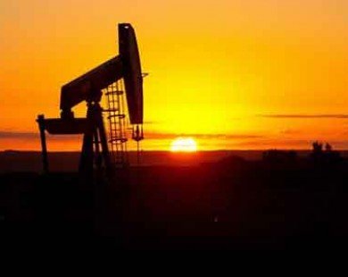 Giá dầu biến động, chờ thông tin dự trữ dầu mỏ của Mỹ