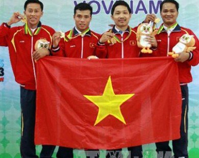 Danh sách HCV của Việt Nam tại SEA Games 27