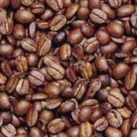 Sản lượng cà phê giảm từ 8-10%