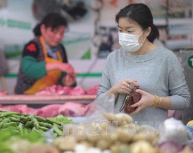 Dịch cúm H5N2 bùng phát ở miền Bắc Trung Quốc