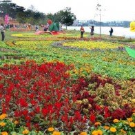 Phố hoa Đà Lạt, đại ngàn Tây Nguyên vẫy gọi khách gần xa